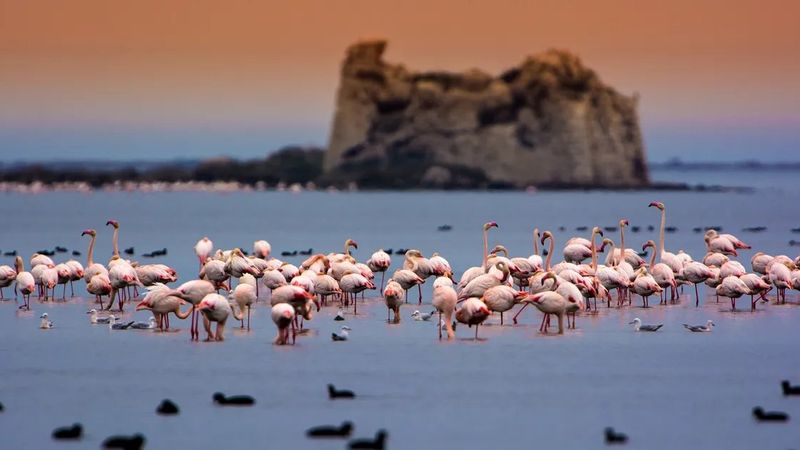 Zdjęcie: 1a Mitja Delta de l'Ebre 2027